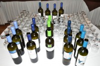 Φωτογραφίες από το θεματικό εργαστήριο.