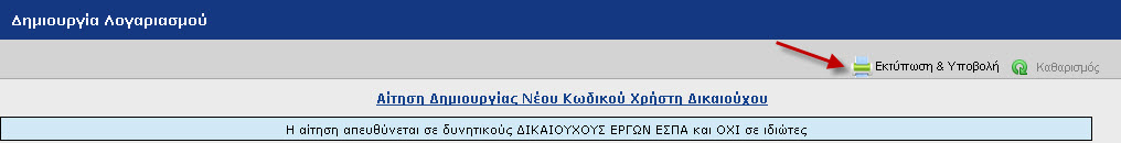 Εκτύπωση και υποβολή